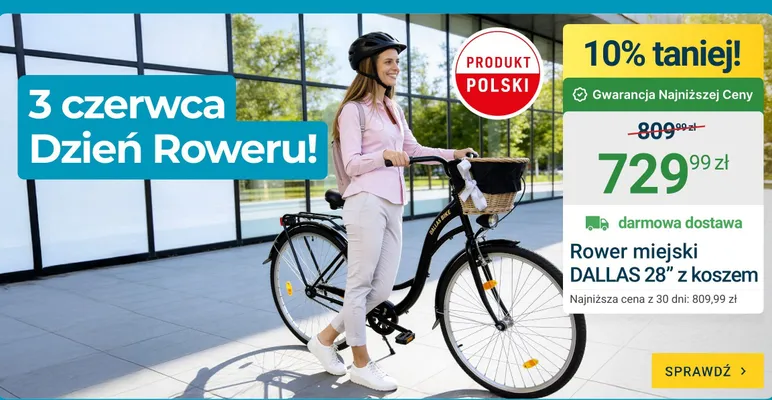 Rower miejski DALLAS 28" z koszem promocja w ERLI