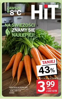 Marchew wczesna z nacią promocja w Selgros