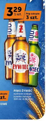Piwo Żywiec promocja w Euro Sklep