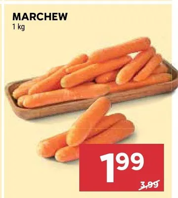 Marchew promocja w Stokrotka