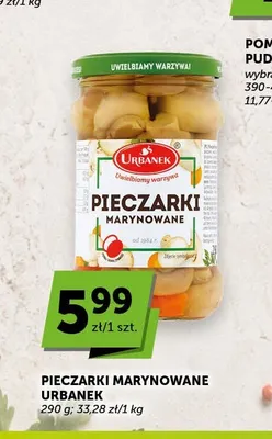 Pieczarki marynowane Urbanek promocja w Euro Sklep