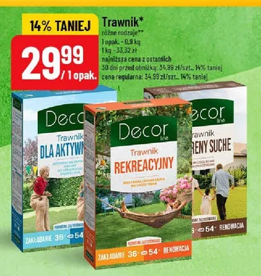 Nasiona trawy Trawnik dla aktywnych Decor Line promocja w POLOmarket