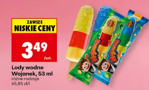 Lody wodne Wojanek promocja w Biedronka
