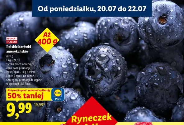Borówki amerykańskie polskie promocja w Lidl