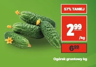 Ogórek gruntowy promocja w API Market