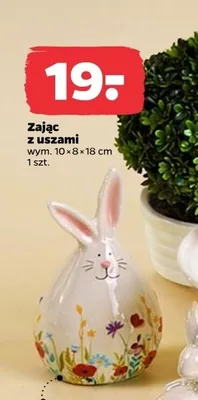 Zając z uszami promocja w Netto
