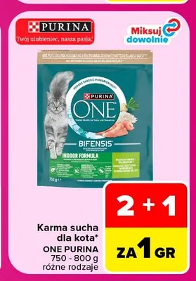 Karma sucha dla kota One Purina promocja w Carrefour