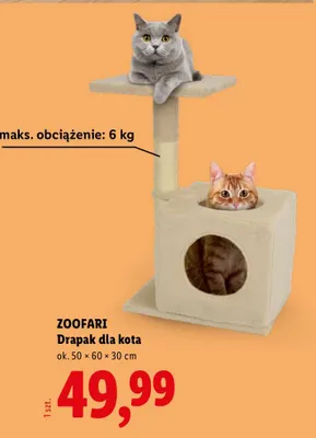 Drapak dla kota promocja w Lidl