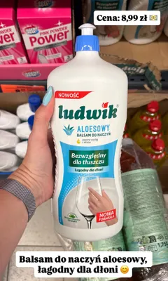 Balsam do naczyń Ludwik aloesowy promocja w Biedronka