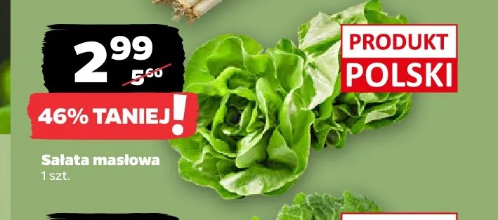 Sałata masłowa polska promocja w Netto