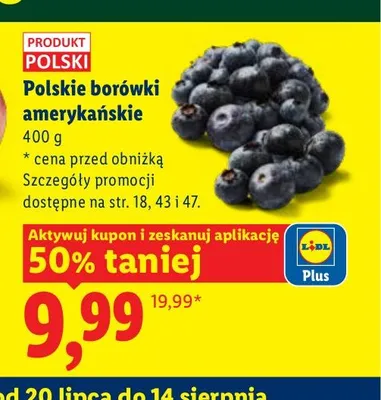 Borówki amerykańskie polskie Lidl promocja w Lidl