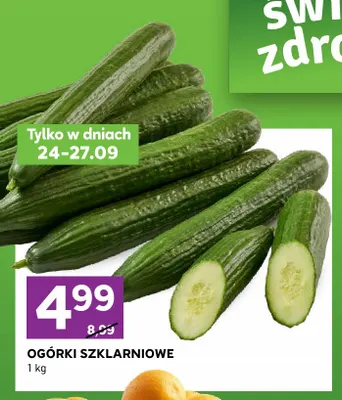 Ogórki szklarniowe promocja w Stokrotka