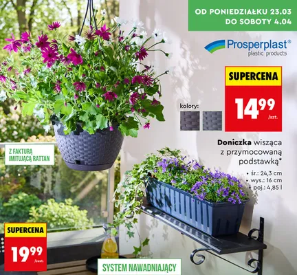 Skrzynka z systemem nawadniania promocja w Biedronka