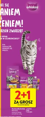 Karma dla kota z kurczakiem Whiskas promocja w Intermarche