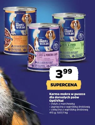 Karma mokra w puszce dla dorosłych psów indyk z marchewką promocja w Netto