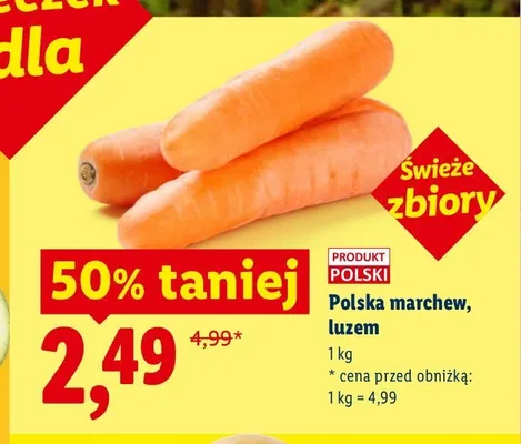 Marchew polska luzem Ryneczek Lidla promocja w Lidl
