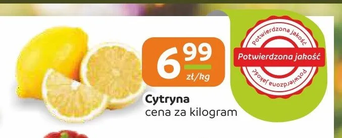 Cytryna promocja w Społem Częstochowa