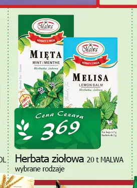 Herbata ziołowa Malwa promocja w CEZAR Delikatesy