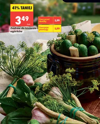 Zestaw do kiszenia ogórków promocja w Biedronka