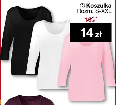 Koszulka Rozm. S-XXL promocja w Woolworth