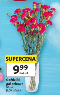 Goździki gałązkowe 10szt. promocja w Auchan