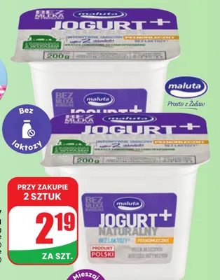 Jogurt naturalny bez laktozy Maluta promocja w Dino