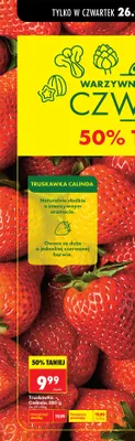 Truskawka Calinda 380 g promocja w Biedronka