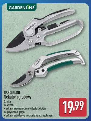 Sekator ogrodowy promocja w Aldi