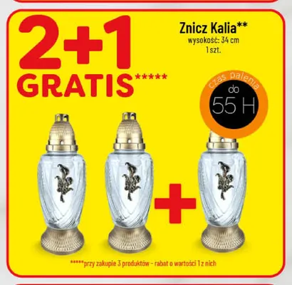 Znicz Kalia promocja w POLOmarket