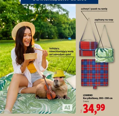 Koc piknikowy Livarno 200x200 cm promocja w Lidl