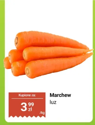 Marchew luz promocja w Dino