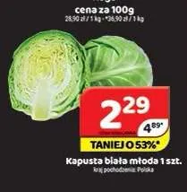 Kapusta biała młoda promocja w Delfin