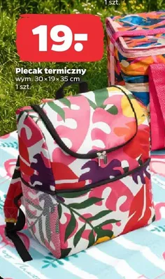 Plecak termiczny 30x19x35cm promocja w Netto