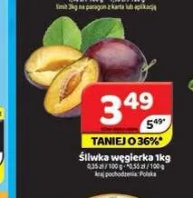 Śliwka węgierka promocja w Delfin