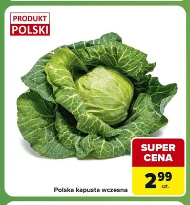 Kapusta wczesna polska promocja w Carrefour Express