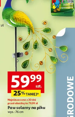 Paw solarny na piku wys. 76cm promocja w Auchan