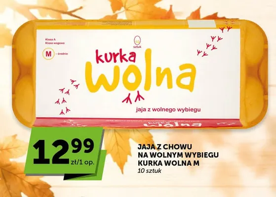 Jajka kurze z chowu na wolnym wybiegu Kurka Wolna M promocja w Groszek