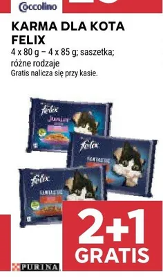 Karma dla kota Felix promocja w Stokrotka