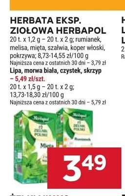Herbata ekspresowa ziołowa Herbapol Mięta promocja w Stokrotka