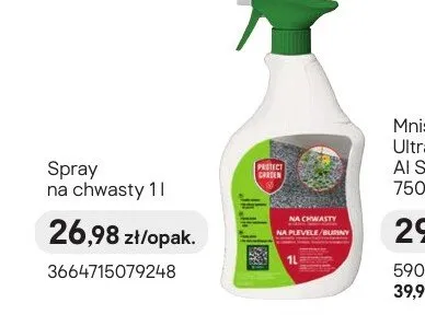 Środek chwastobójczy Spray na chwasty 1l promocja w Castorama