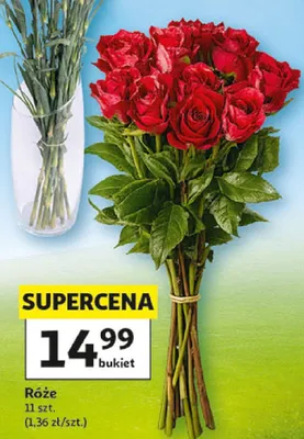Róże promocja w Auchan