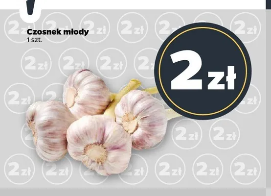 Czosnek młody promocja w Netto