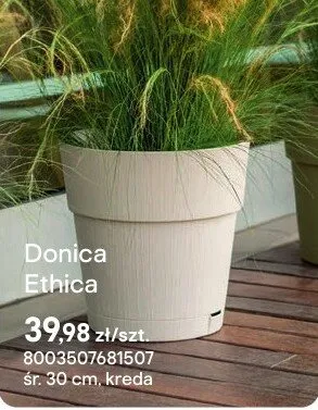 Donica Ethica kreda promocja w Castorama