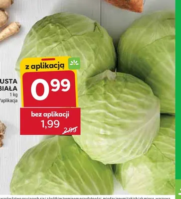 Kapusta biała promocja w Stokrotka