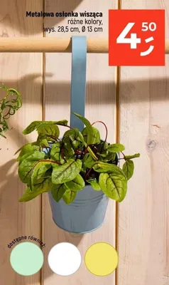 Metalowa osłonka wisząca różne kolory promocja w Dealz
