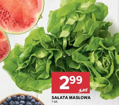 Sałata masłowa promocja w Stokrotka