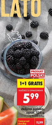 Jeżyna polska Biedronka promocja w Biedronka
