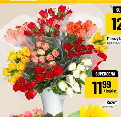 Róże promocja w POLOmarket