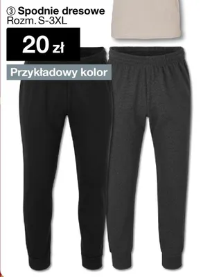 Spodnie dresowe Rozm. S-3XL promocja w Woolworth