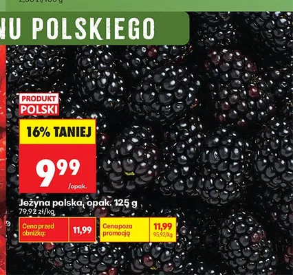 Jeżyna polska promocja w Biedronka